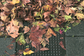 herfst