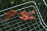 herfst